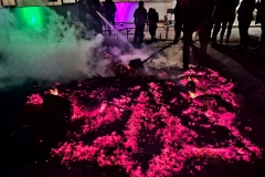 motion_photo_2359136722996960240