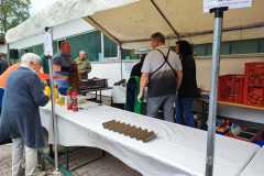 IMG-20220603-WA0014